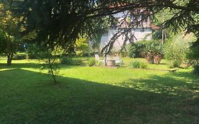 Vila Labod, Unique Villa At The Lake
